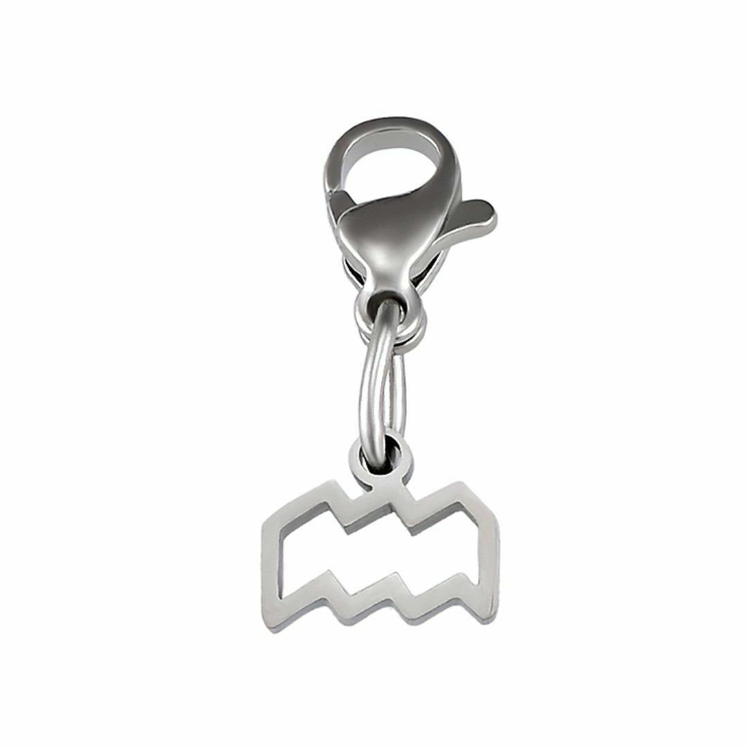 Charms | Aquarius Charm Charms Charms