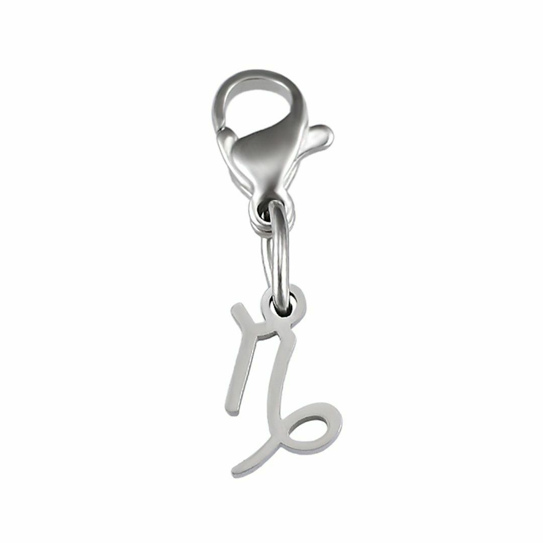 Charms | Capricorn Charm Charms Charms